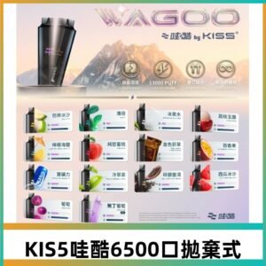 Kis5電子煙 Kiss拋棄式哇酷|WAGOO6500口一次性電子煙