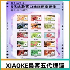 梟客五代煙彈|XIAOKE可替換式電子煙|通用Relx6代|ILIA五代主機
