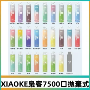 梟客XIAOKE|7500口可發光拋棄式電子煙 跑馬燈一次性